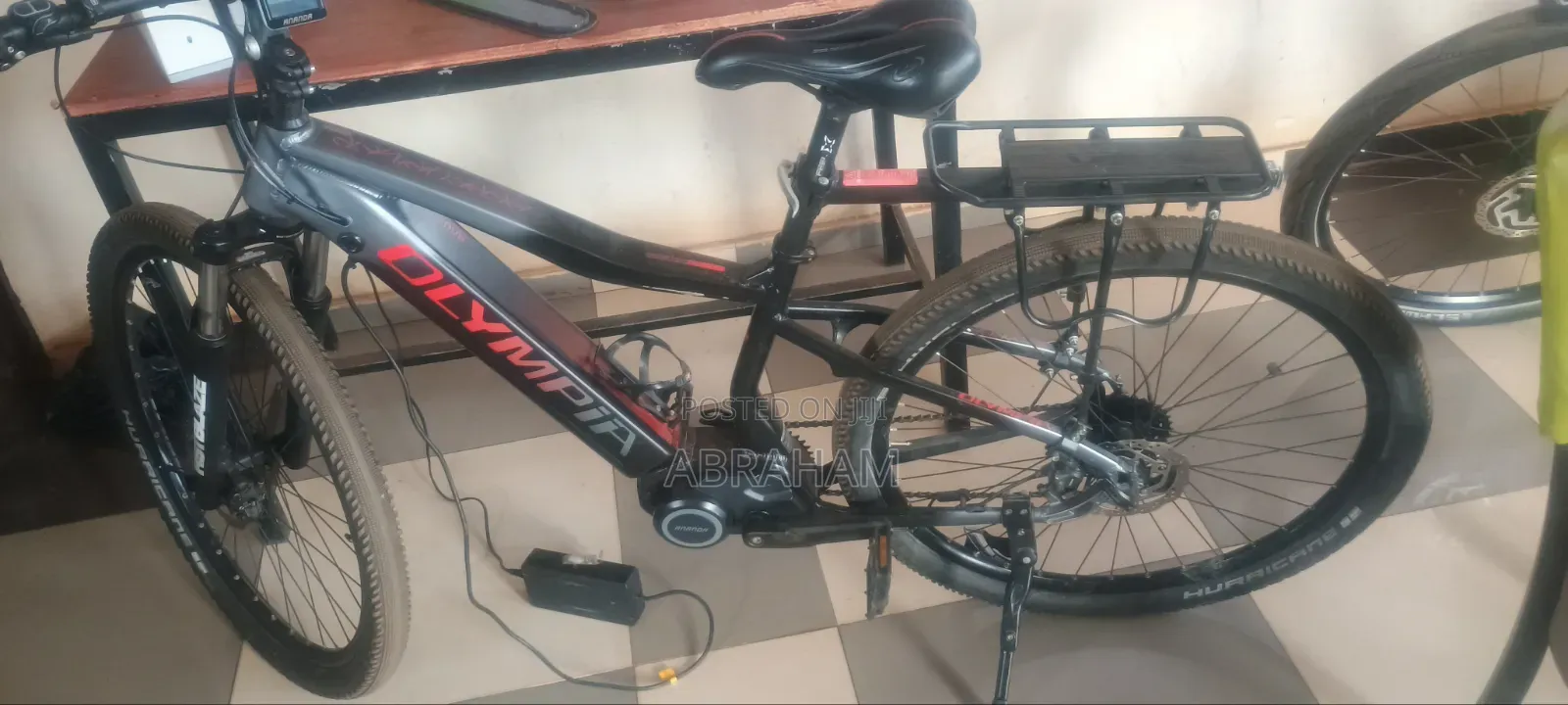 Electric Bike