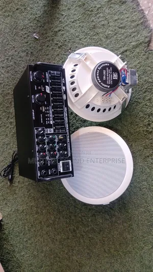 Celling Speaker With Amplifier