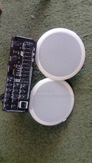 Celling Speaker With Amplifier