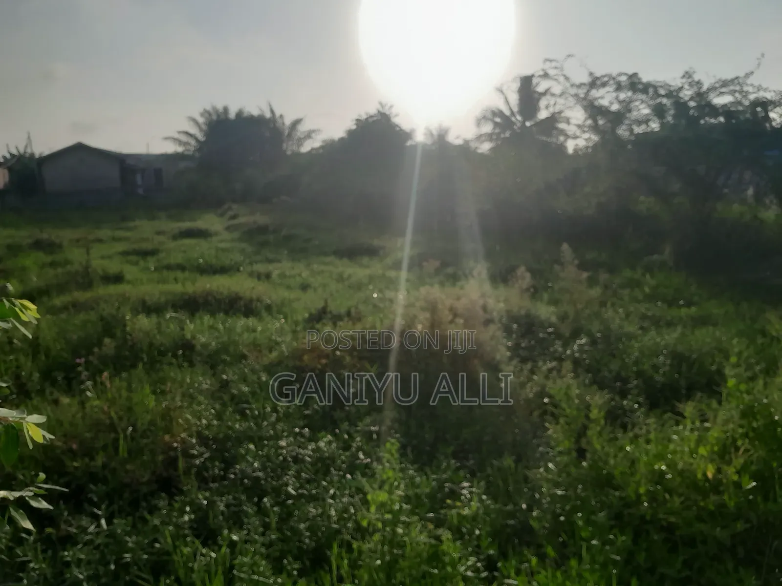Land and Houses