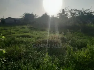 Land and Houses