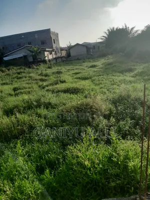 Land and Houses