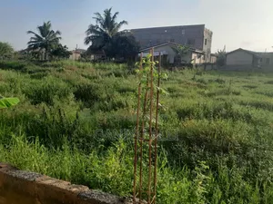 Land and Houses