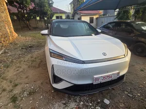 New Dongfeng Captain 2025 White