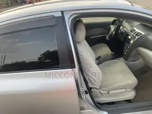 Toyota Belta 2010 Gray