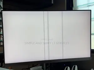 27” HP E273 Monitor With LINES on Screen
