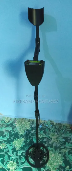 Gold/Metal Detector