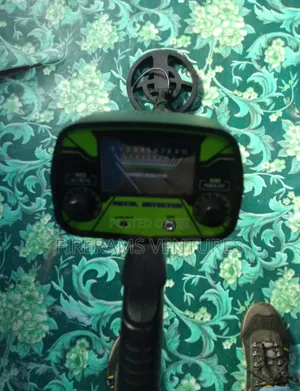 Gold/Metal Detector