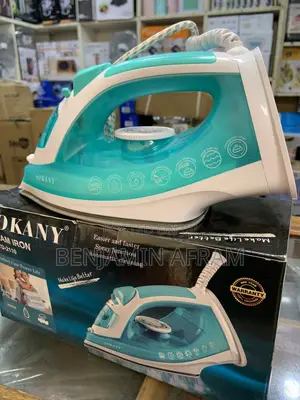 Steam Master Iron