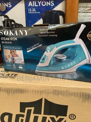 Automatic Cleaning Iron