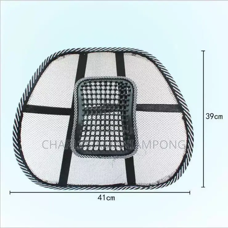 Mesh Lumbar Support Back Cushion