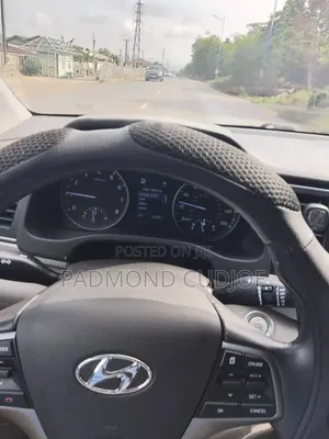 Hyundai Elantra Sport Sedan FWD (1.6L 4cyl 6M) 2017 Gray