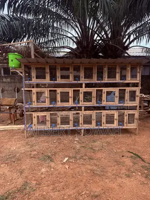 15 Rooms Modern Rabbit and Grasscutter Cage