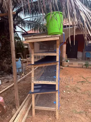 15 Rooms Modern Rabbit and Grasscutter Cage