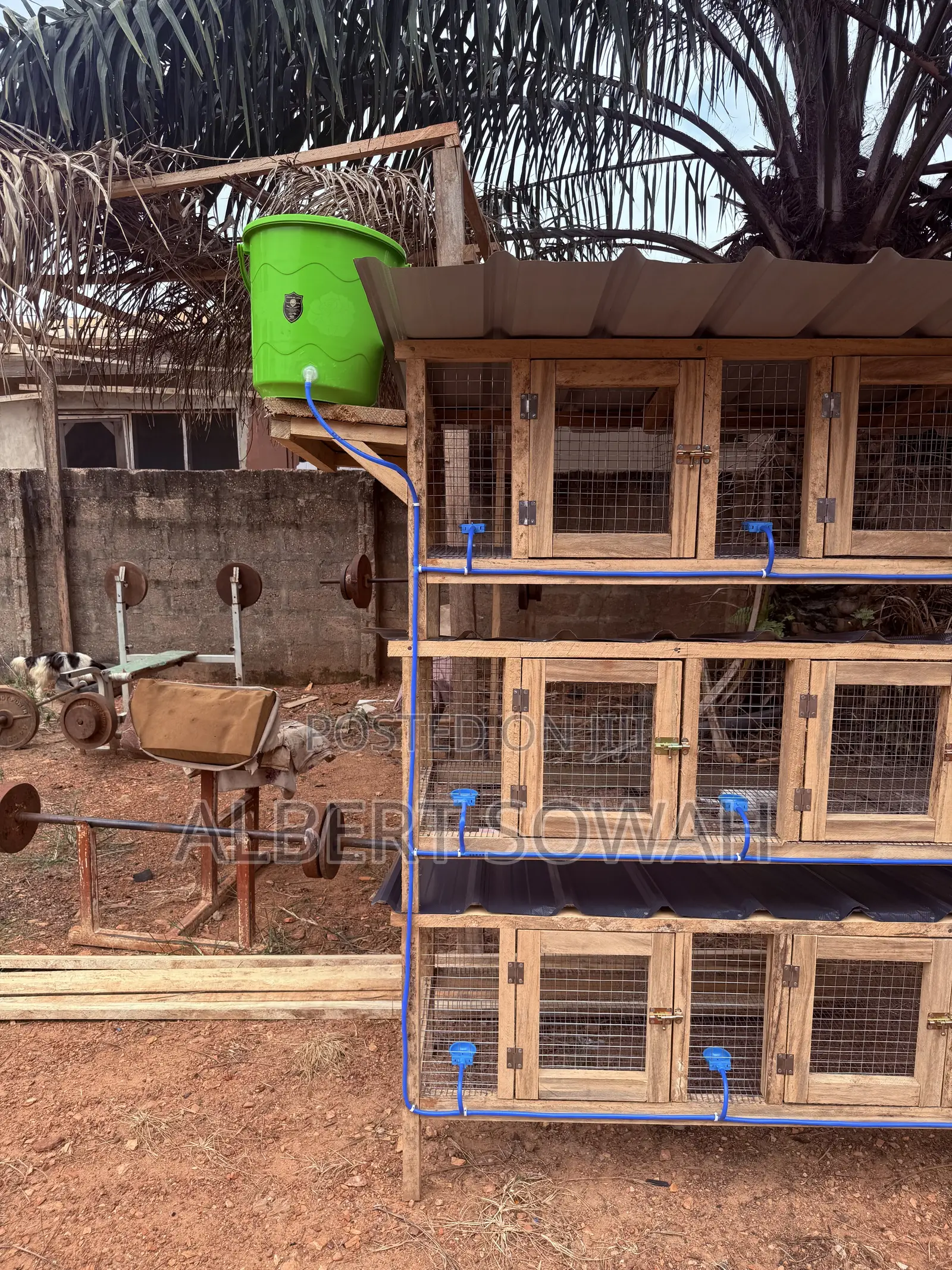 15 Rooms Modern Rabbit and Grasscutter Cage