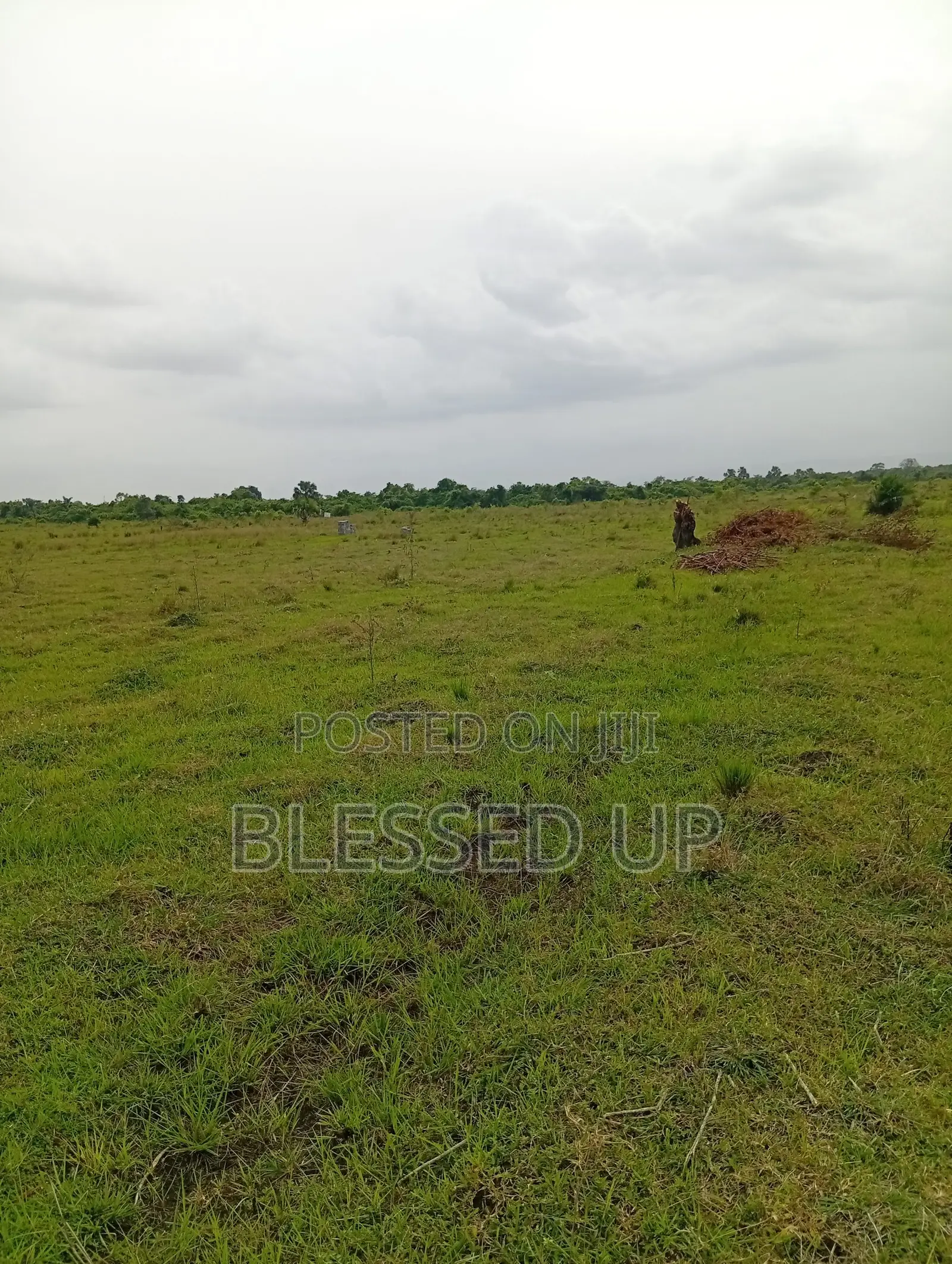 1 PLOT Inside Winneba Town Hall, Gomoa Mpota, Potsin , Gomoa Fetteh