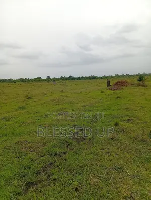 1 PLOT Inside Winneba Town Hall, Gomoa Mpota, Potsin , Gomoa Fetteh