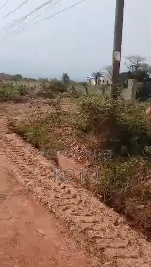 5 Plots of Titled Roadside Land at Dodowa