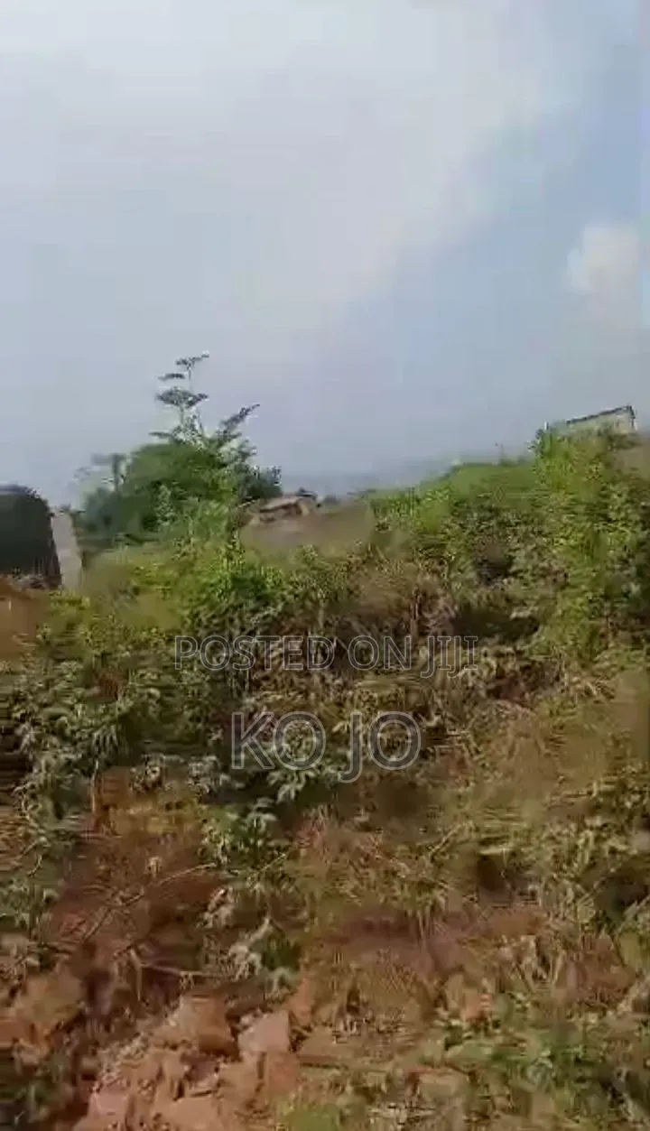 5 Plots of Titled Roadside Land at Dodowa