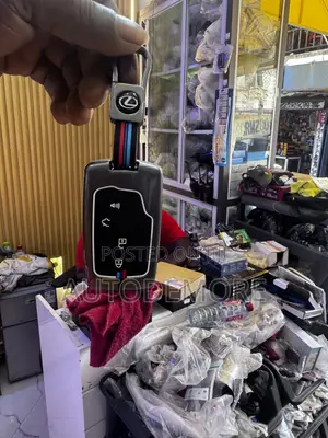 Lexus Key Cover