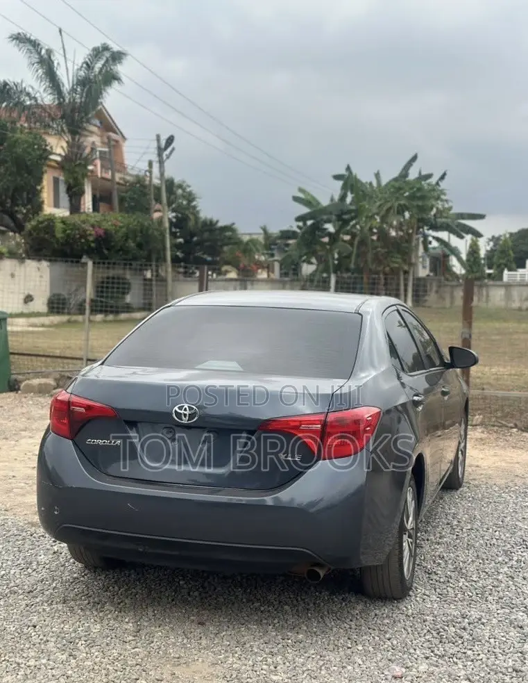 Toyota Corolla XLE (1.8L 4cyl 2A) 2019 Gray