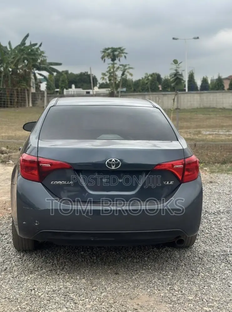 Toyota Corolla XLE (1.8L 4cyl 2A) 2019 Gray