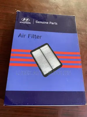 Hyundai 28113 A9100 Filter-Air Cleaner