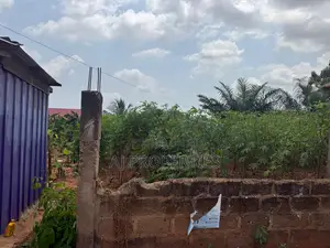 1 Acre of Land at Abokobi