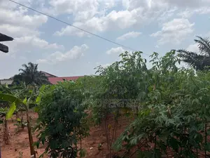 1 Acre of Land at Abokobi