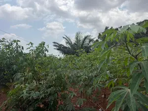 1 Acre of Land at Abokobi