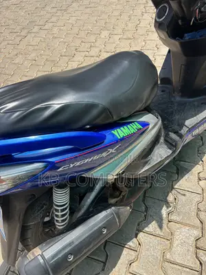 Yamaha 2010 Blue