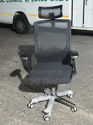 Adjustable Ergonomic Office Chair