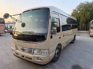 Toyota Coaster 2020 Beige