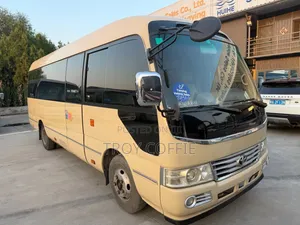 Toyota Coaster 2020 Beige