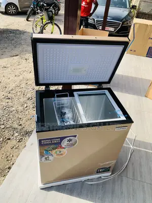 Quality (Gold) Nasco SingerDoor 150L Nas-200fl Frost-Peak Freezer