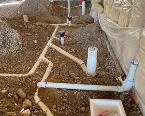 Professional Plumber