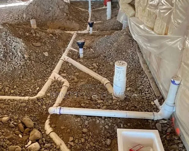 Professional Plumber
