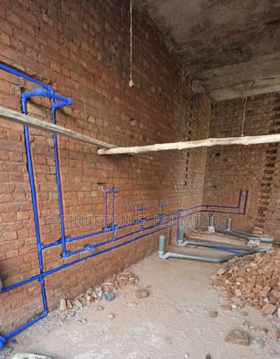 Professional Plumber