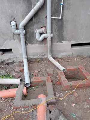 Professional Plumber