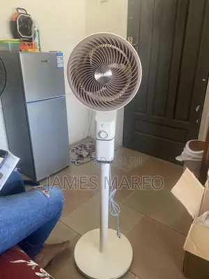 Standing Fan