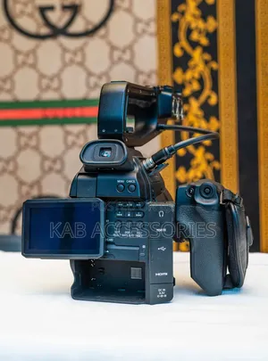 Canon C100 Cinema Camera