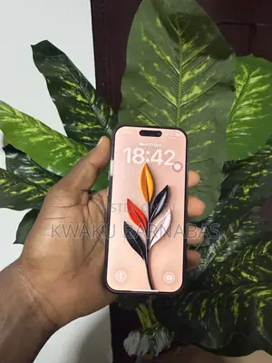 Apple iPhone 16 Pro 256 GB Black