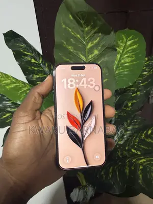 Apple iPhone 16 Pro 256 GB Black