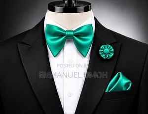Classy Butterfly Bow Tie With Pocket Square and Elegant Brooch