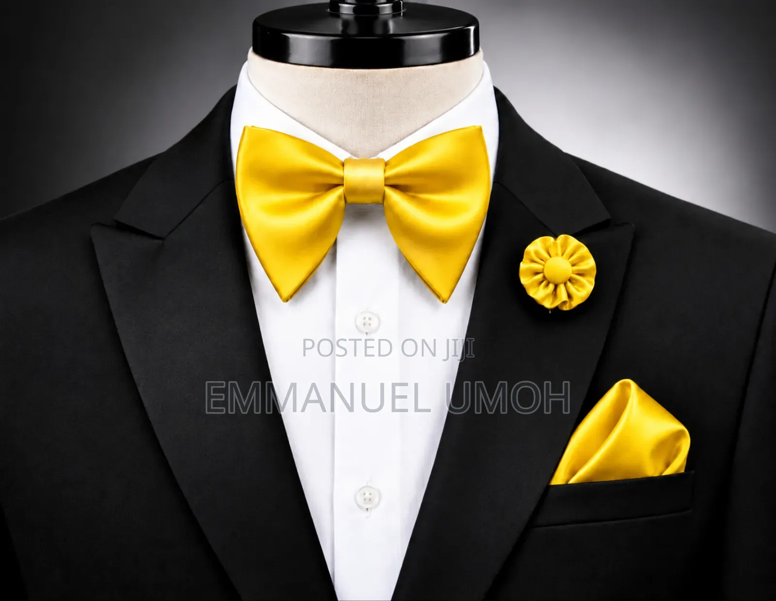 Classy Butterfly Bow Tie With Pocket Square and Elegant Brooch
