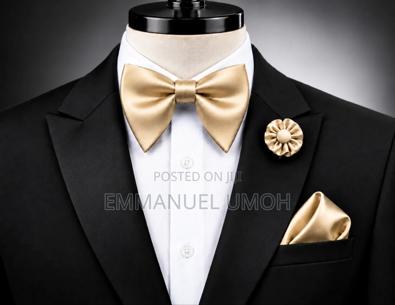Classy Butterfly Bow Tie With Pocket Square and Elegant Brooch