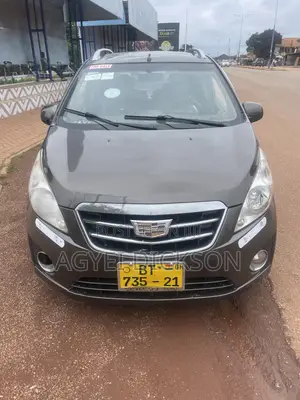 Chevrolet Spark LS 2013 Gray