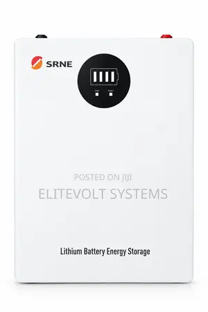 SRNE 24V 100Ah LiFePO4 Battery Module