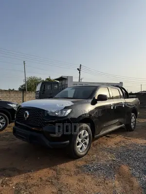 Great Wall Pao 2022 Black