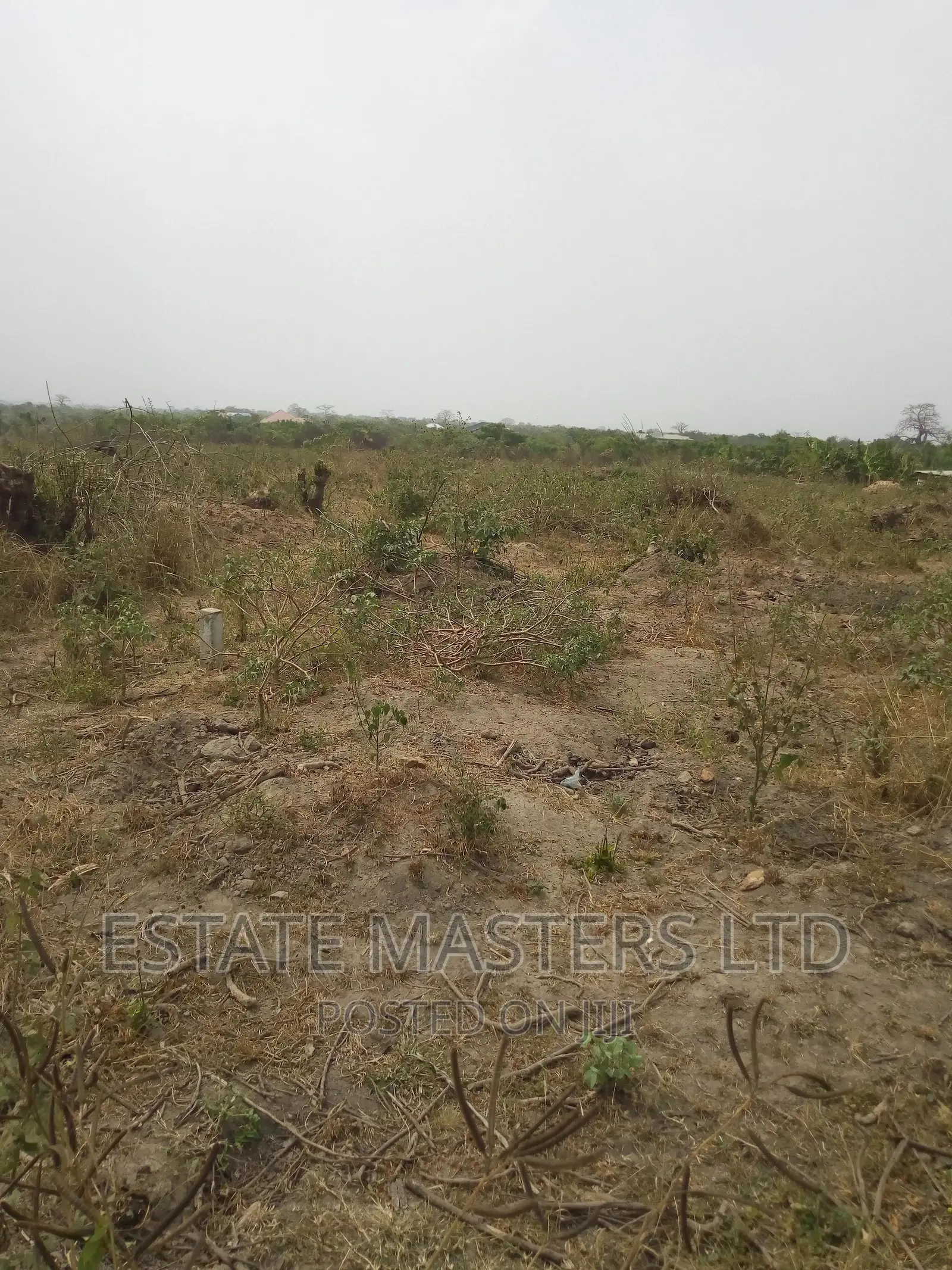 Exclusive Flat Area Land on Promo